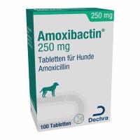 Amoxibactin 250 mg