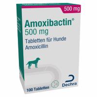 Amoxibactin 500 mg