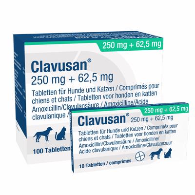 Clavusan 250 mg + 62,5 mg