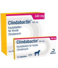 Clindabactin 440 mg