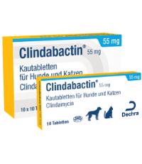 Clindabactin 55 mg