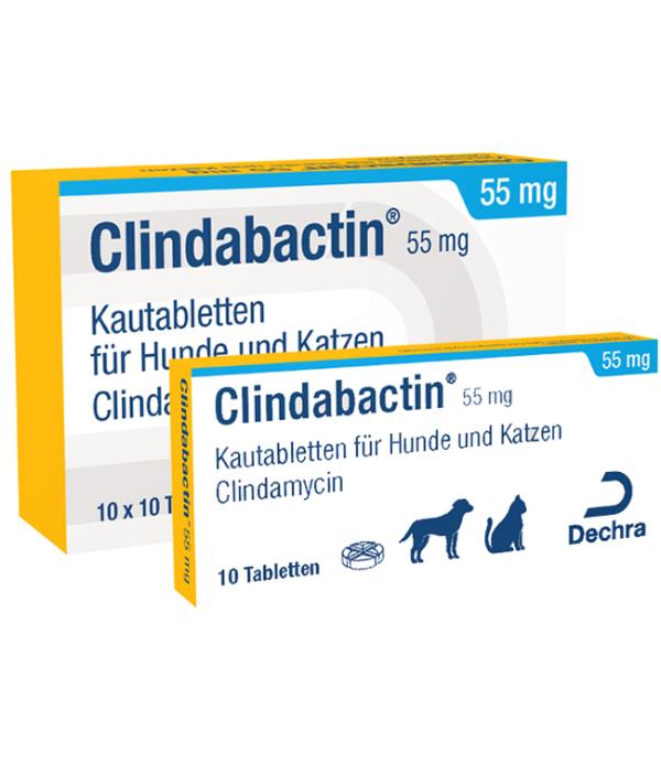 Clindabactin 55 mg
