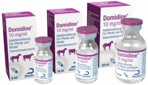 Domidine 10 mg/ml