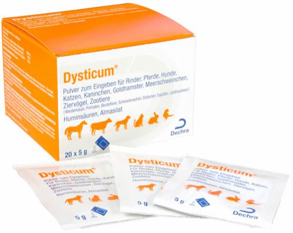 Dysticum