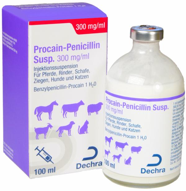 Procain-Penicillin Susp. 300 mg/ml